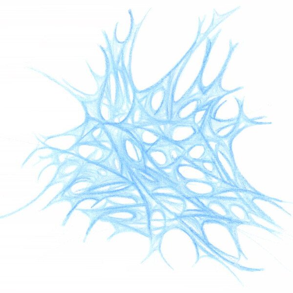 

sans titre
 
 2001-07 &ndash; Crayon sur papier &ndash;  – 2001