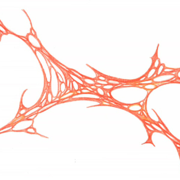 

sans titre
 
 2001-08 &ndash; Crayon sur papier &ndash;  – 2001